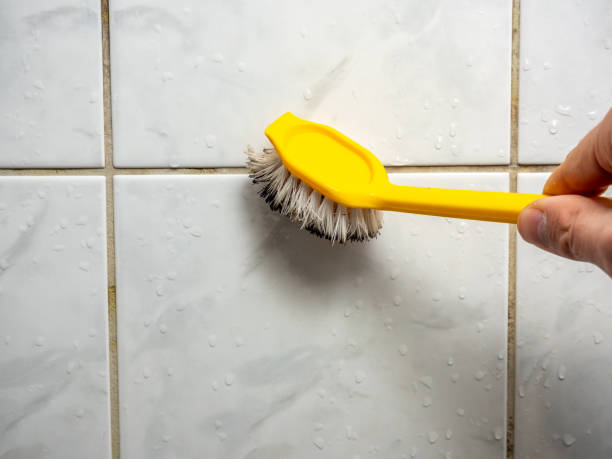 Best Mold Remediation  in Detroit Beach, MI