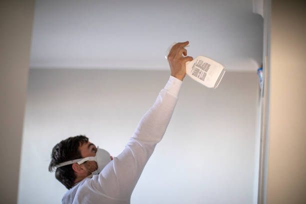 Best Best Mold Removal Companies  in Detroit Beach, MI