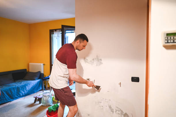 Best Local Mold Removal Service  in Detroit Beach, MI